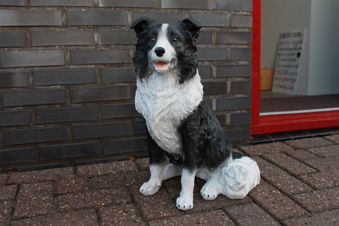 Zittende honden met hoed