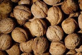 Biologische  Walnoten   oogst  2024       4,5 kg  voor  € 15,00