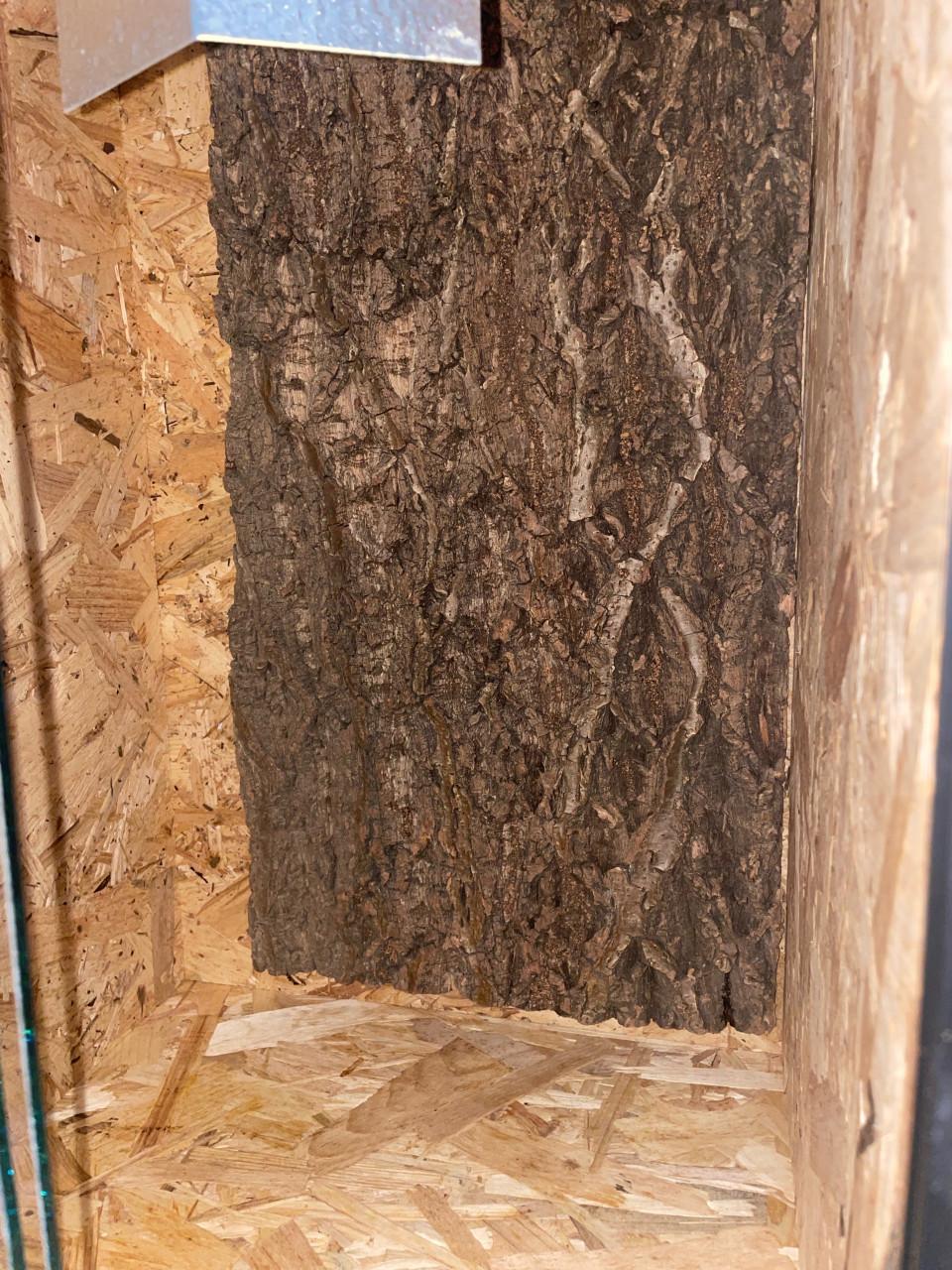 Osb terraruim met fitting