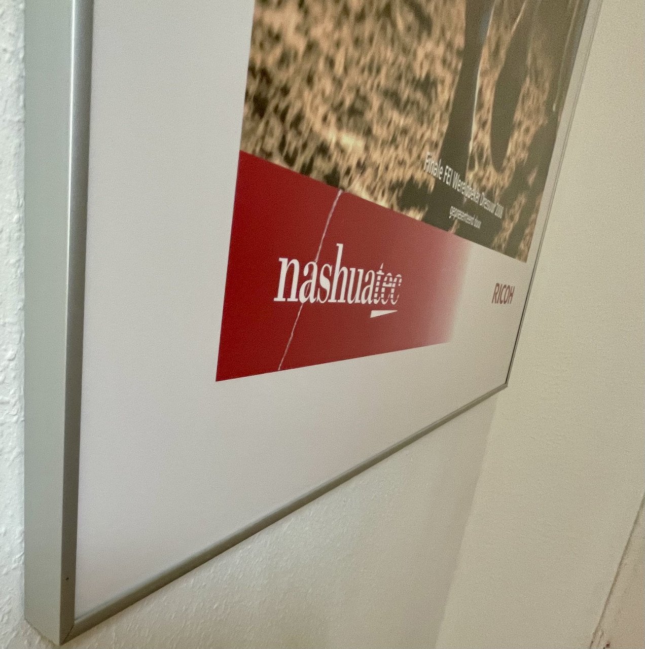 PAARDEN POSTER