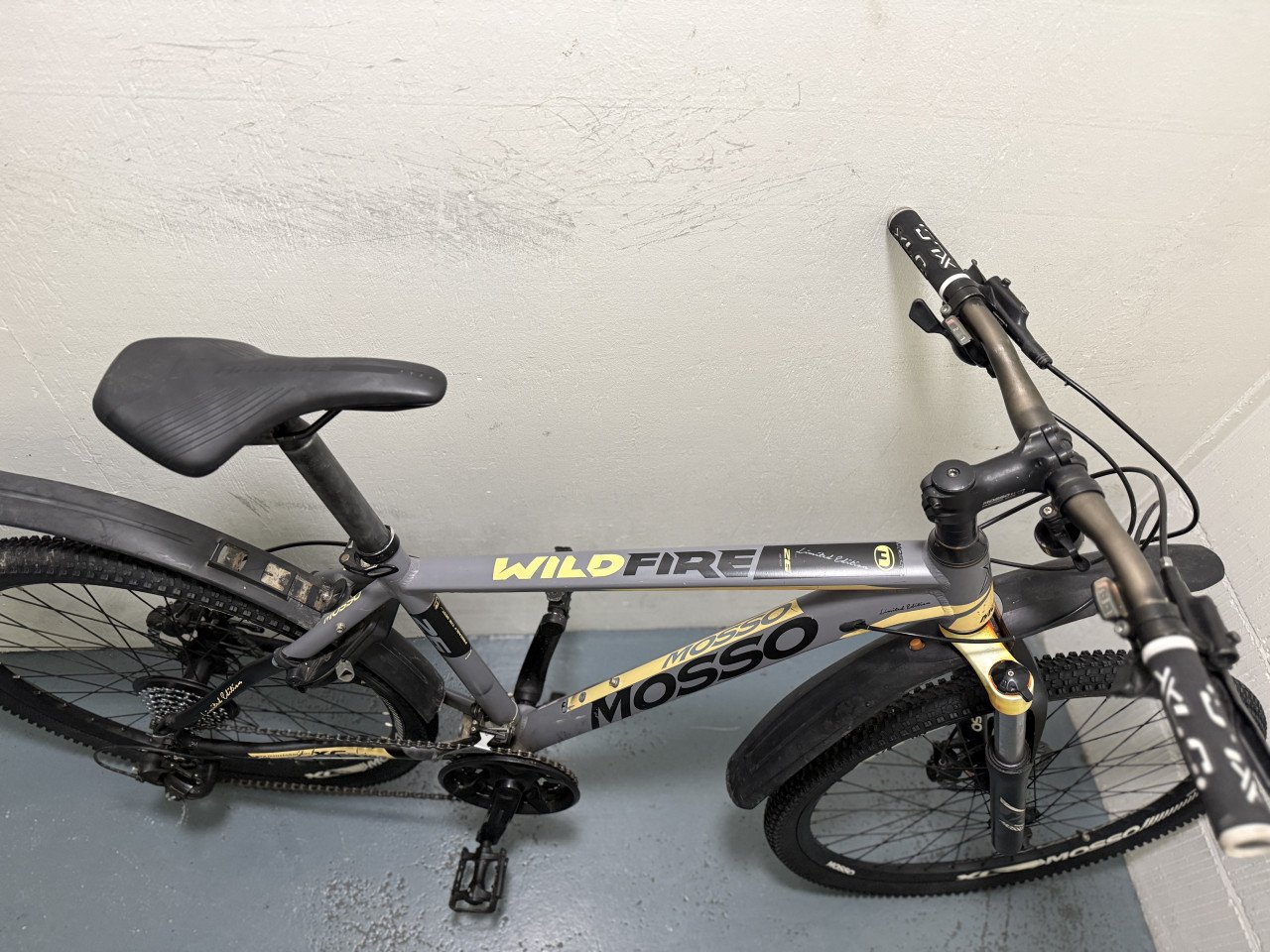 Mountainbike met 2 nieuwe buitenband