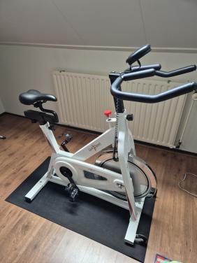 Homertrainer Gymsport