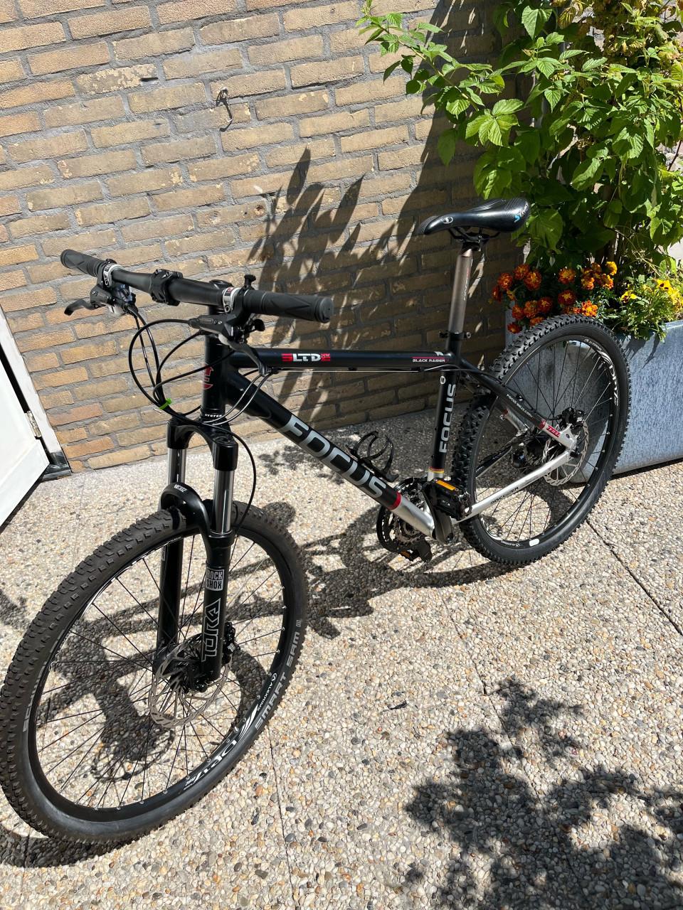 Focus MTB