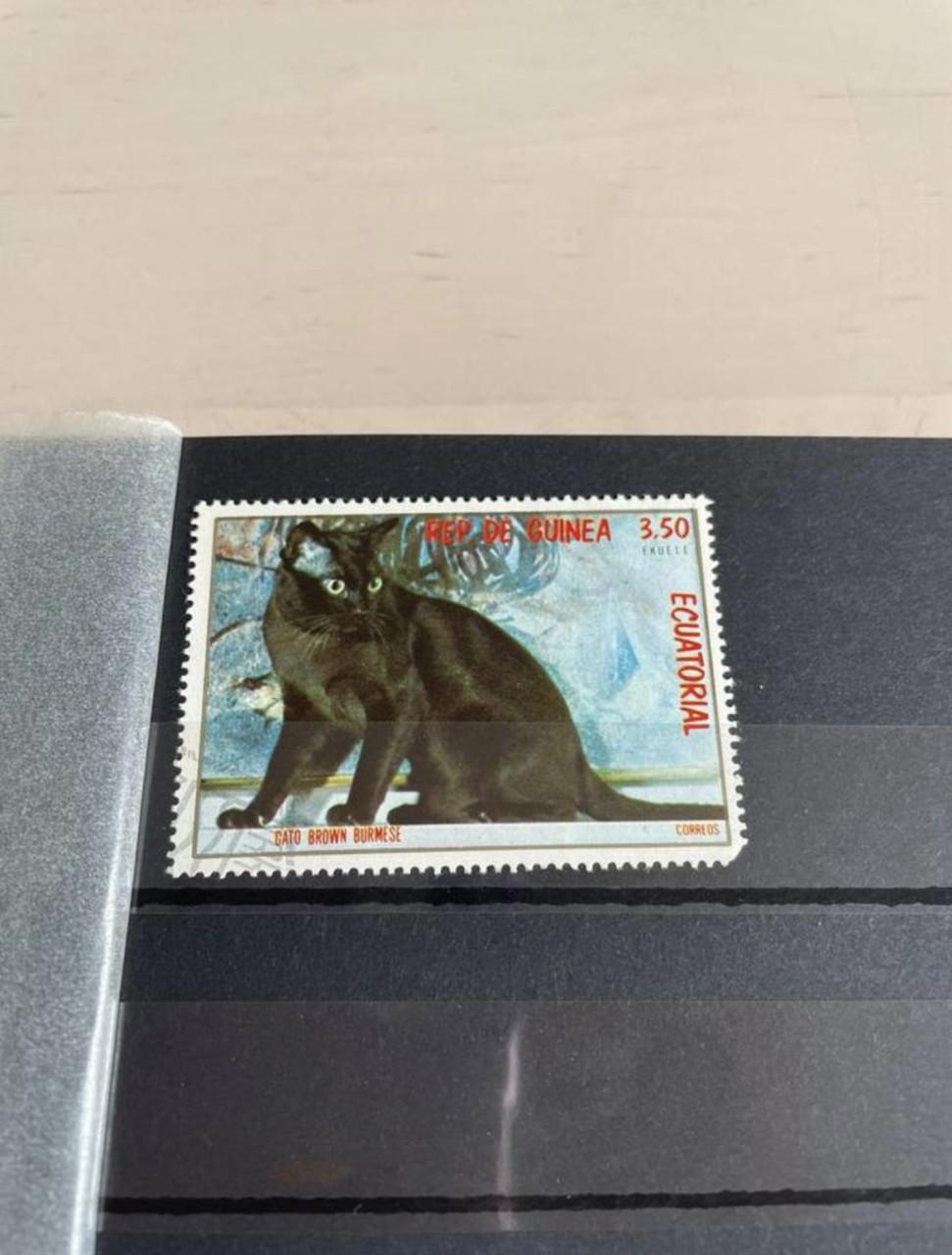 Bijzondere postzegel verzameling dieren internationaal