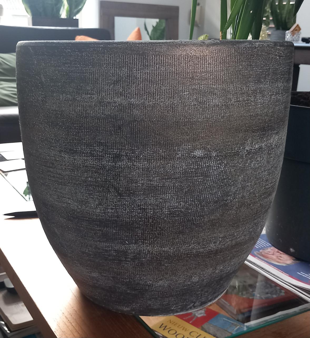 Mooie Yucca, ~130 cm hoog