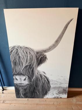 Canvasdoek met schotse hooglander te koop.