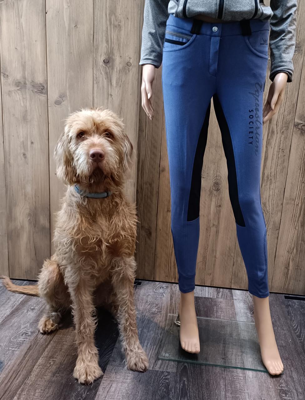 Uitverkoop Ruitersport