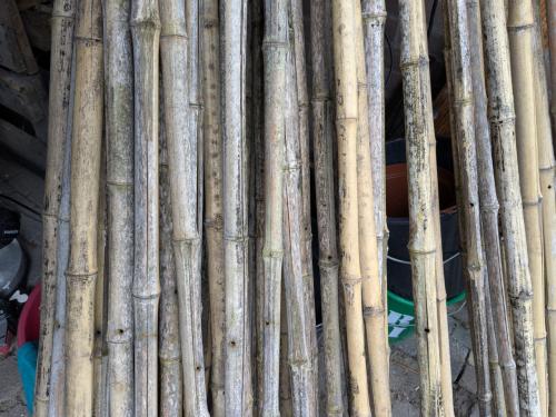 Bamboe stokken