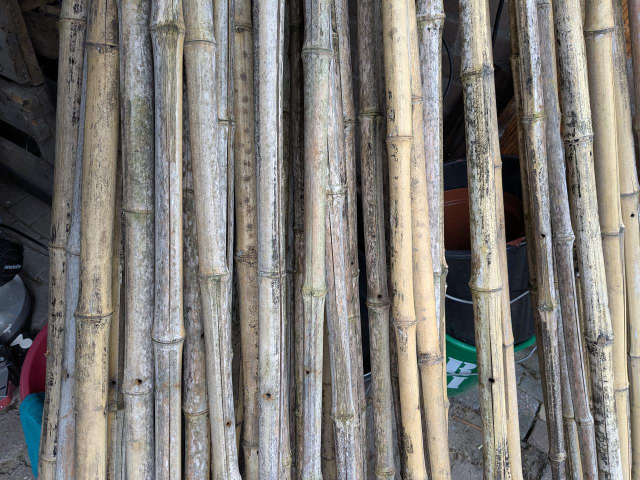 Bamboe stokken