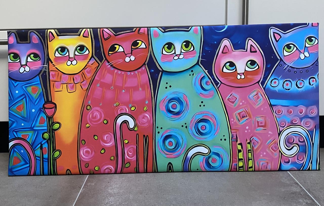 Kunstzinnige katten