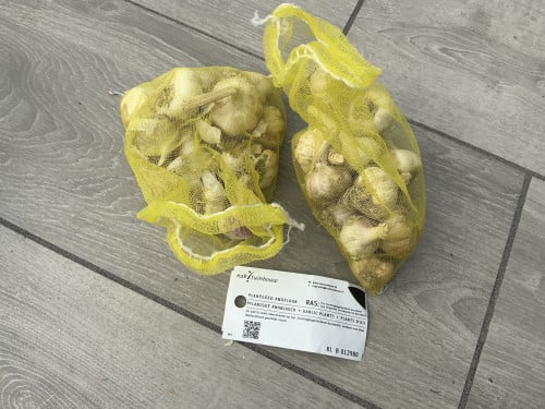 Knoflook