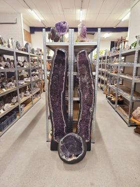 Belevingsdag 15 maart 2026