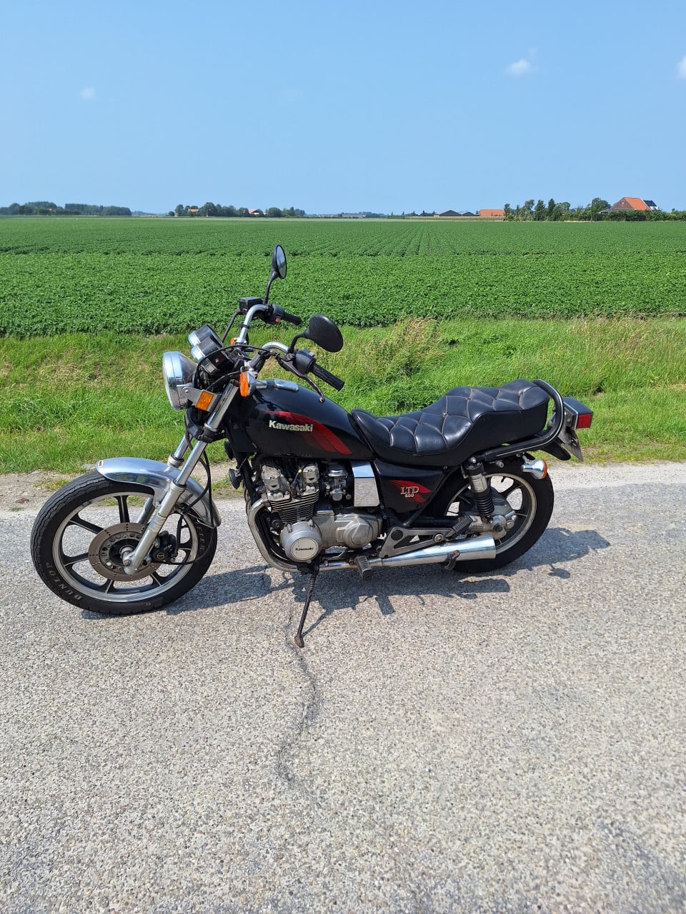 Kawasaki motor