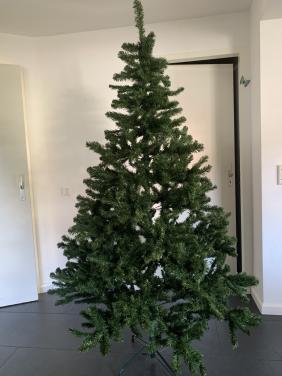 Kerstboom 2.15 m. 1.27 m breed ( Intratuin)