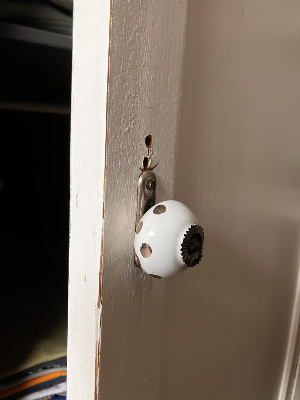 Brocante kastje grijs/wit brocante markt Lille