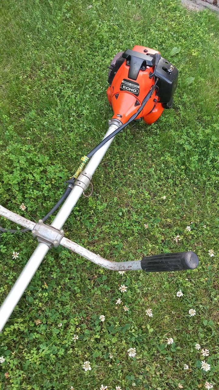 Bosmaaier