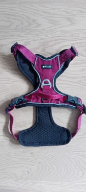 Tuigje hond, maat S