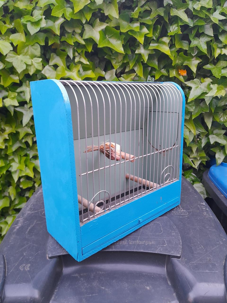 Vogelkooi blauw vintage?