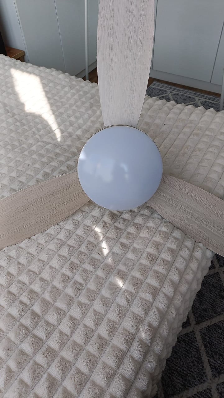 Plafondventilator met lamp
