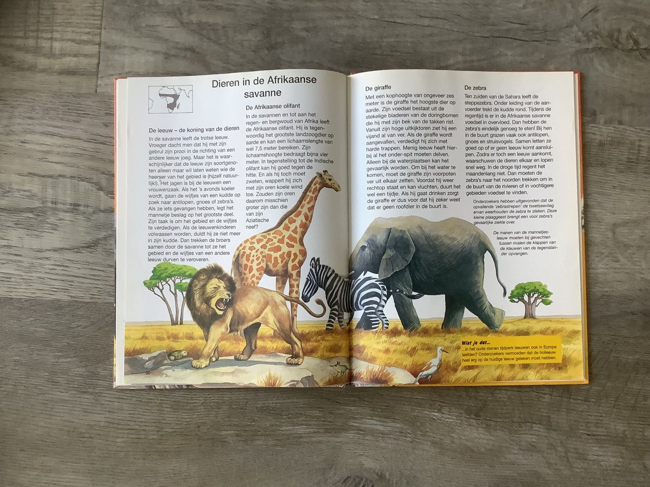 Boek, de grote dierenatlas voor kinderen