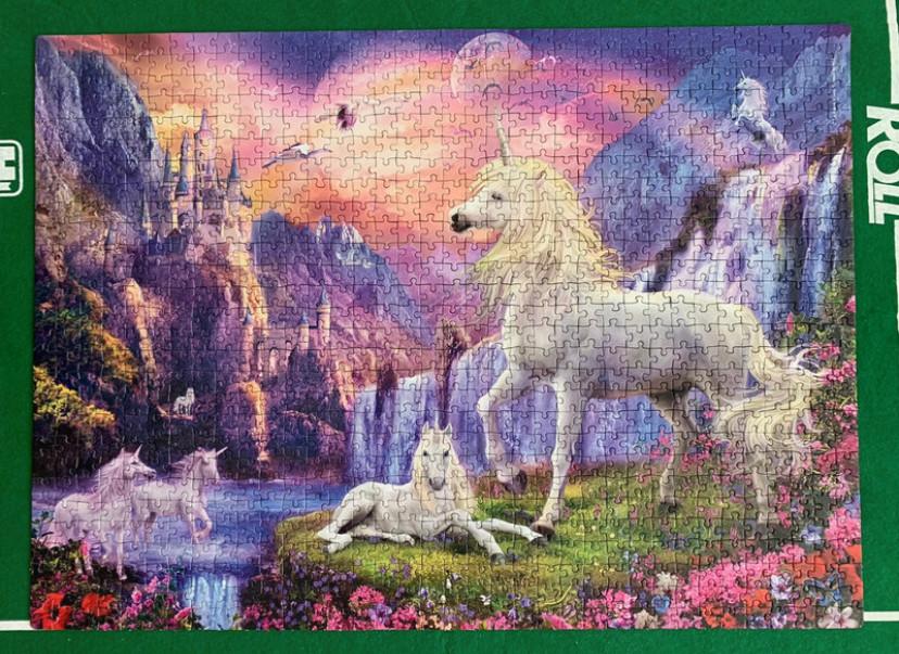 Fluorescent puzzel 1000 stukjes