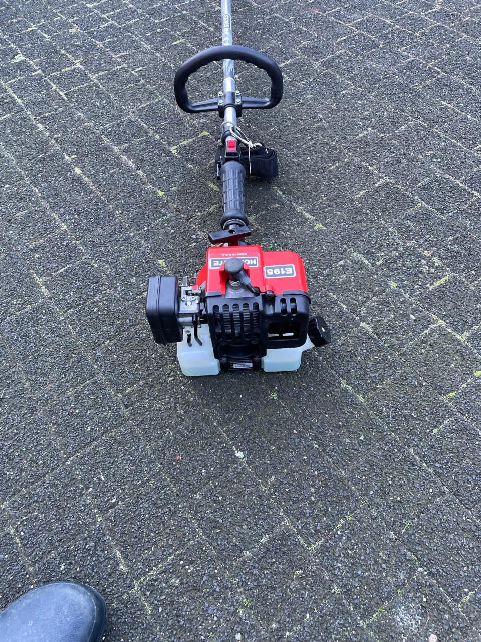 Bosmaaier nieuw