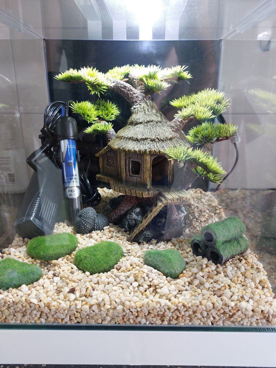 Ciano nexus 25 pure led NIEUWSTAAT