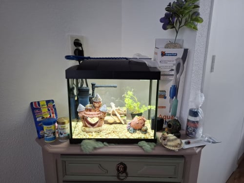 Compleet aquarium met alles erop en eraan