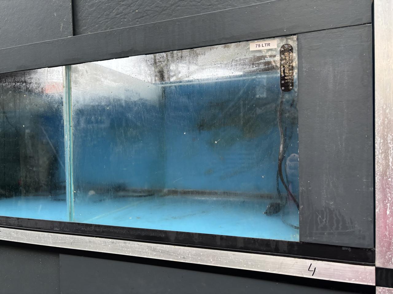 Kweekstelling stellingkast aquarium