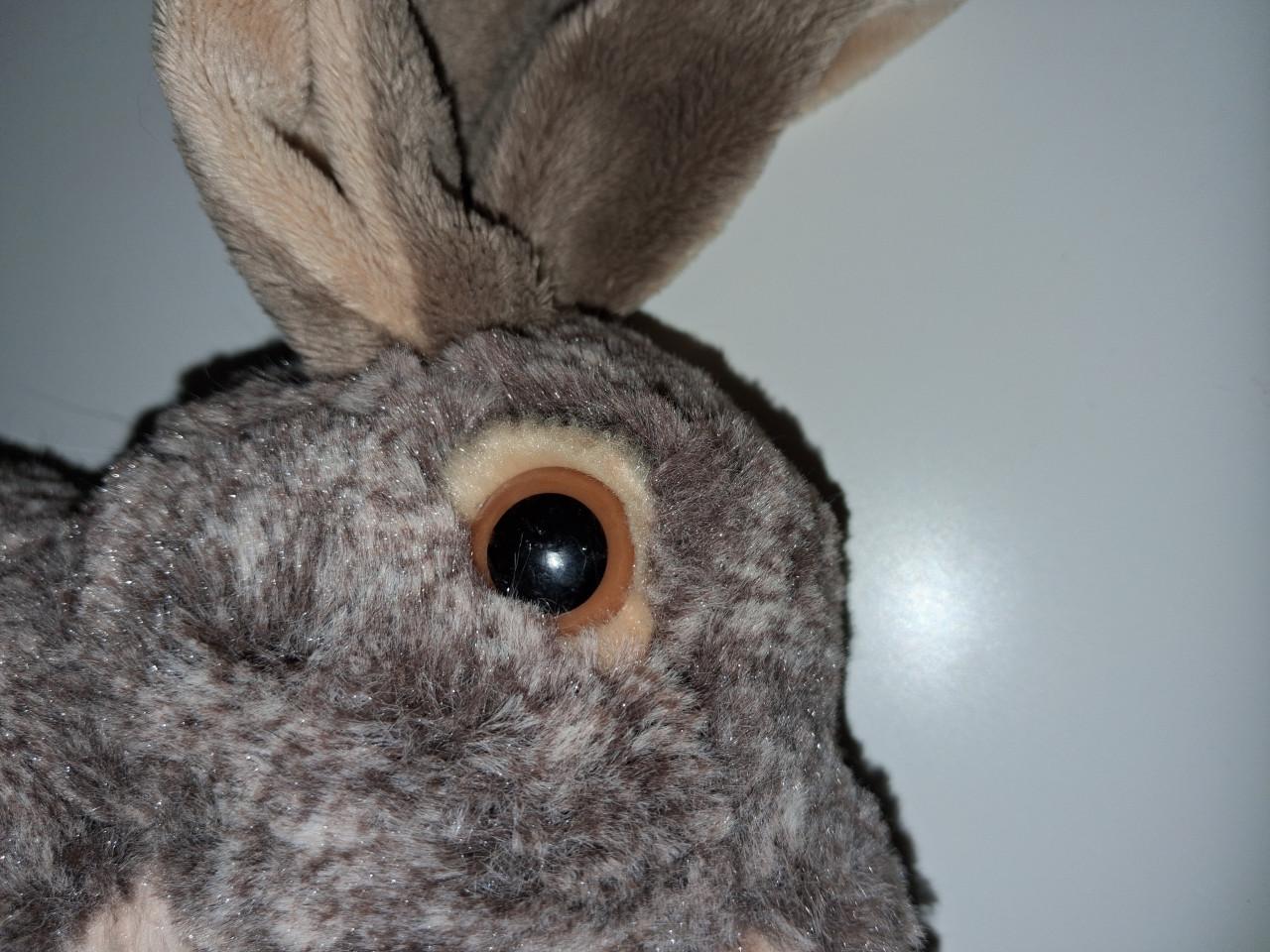 Haas knuffel Wild Republic