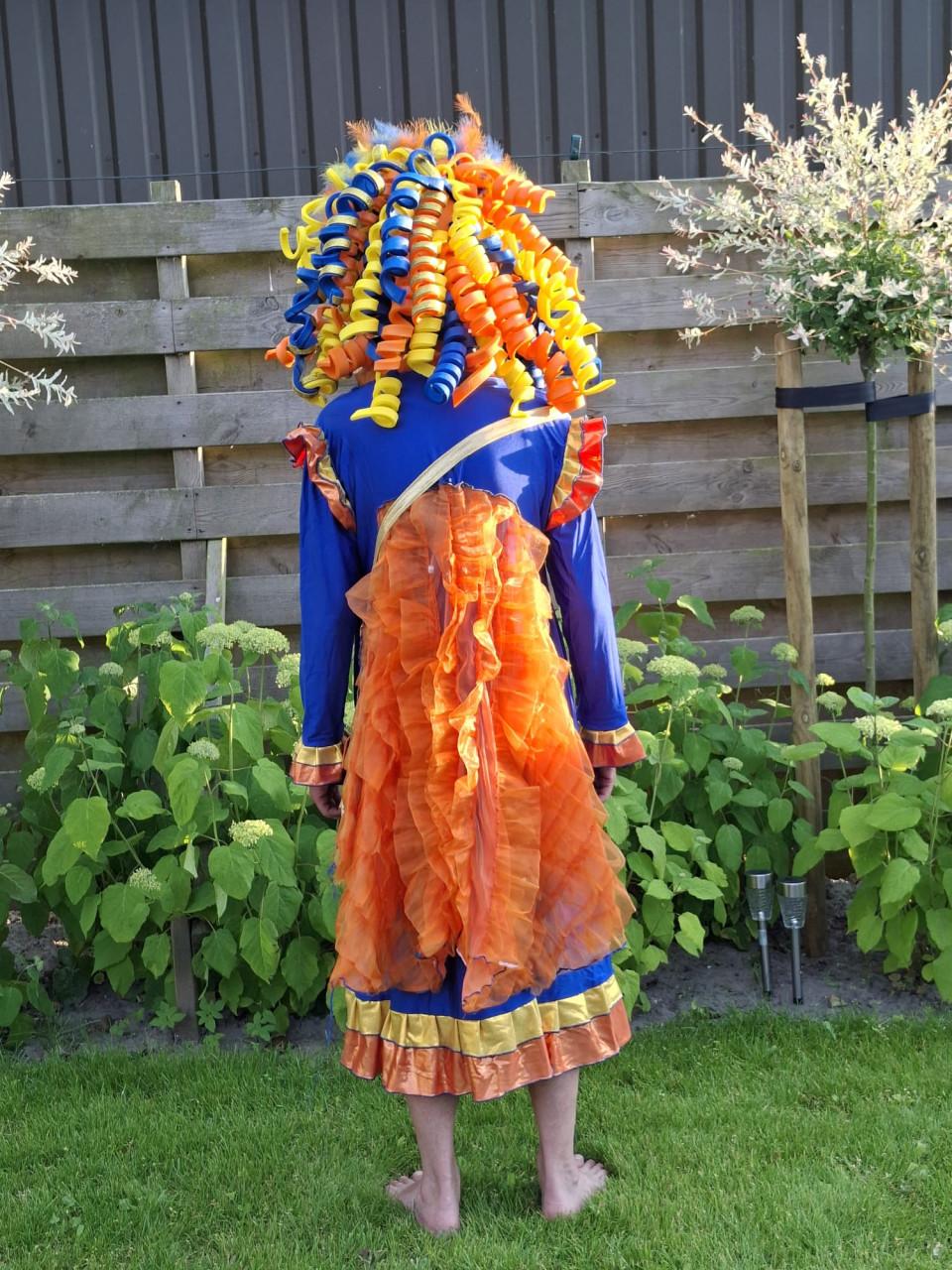 Carnaval pakken / jurk