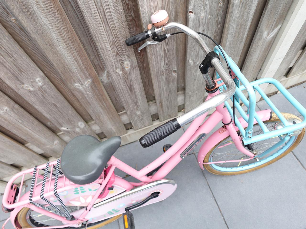 🚲 Popal Meisjesfiets – 22 inch – Transportmodel – Roze
