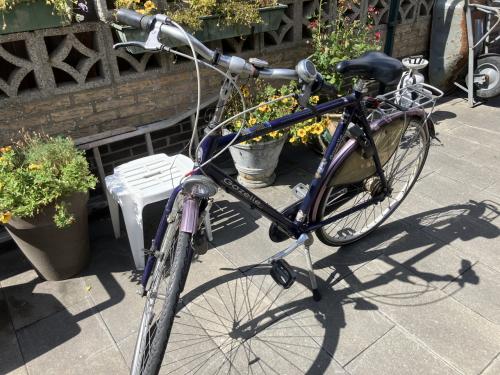 Gzazelle herenfiets 28 inch