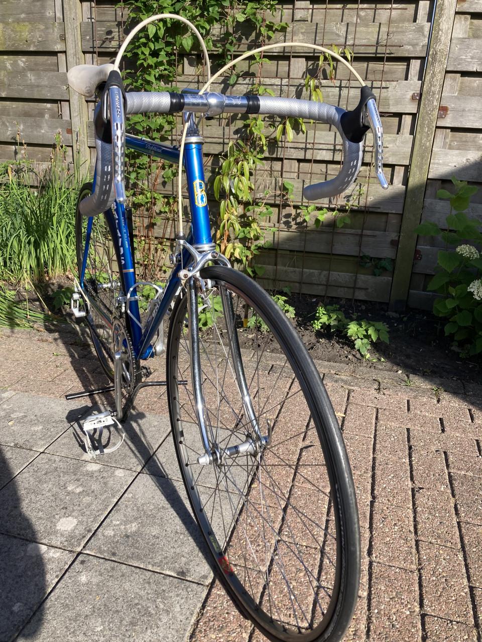 BATAVUS Professional  Columbus