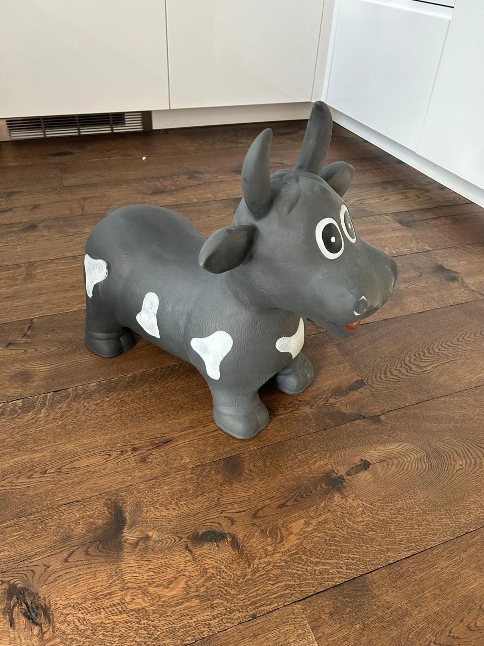 Skippykoe