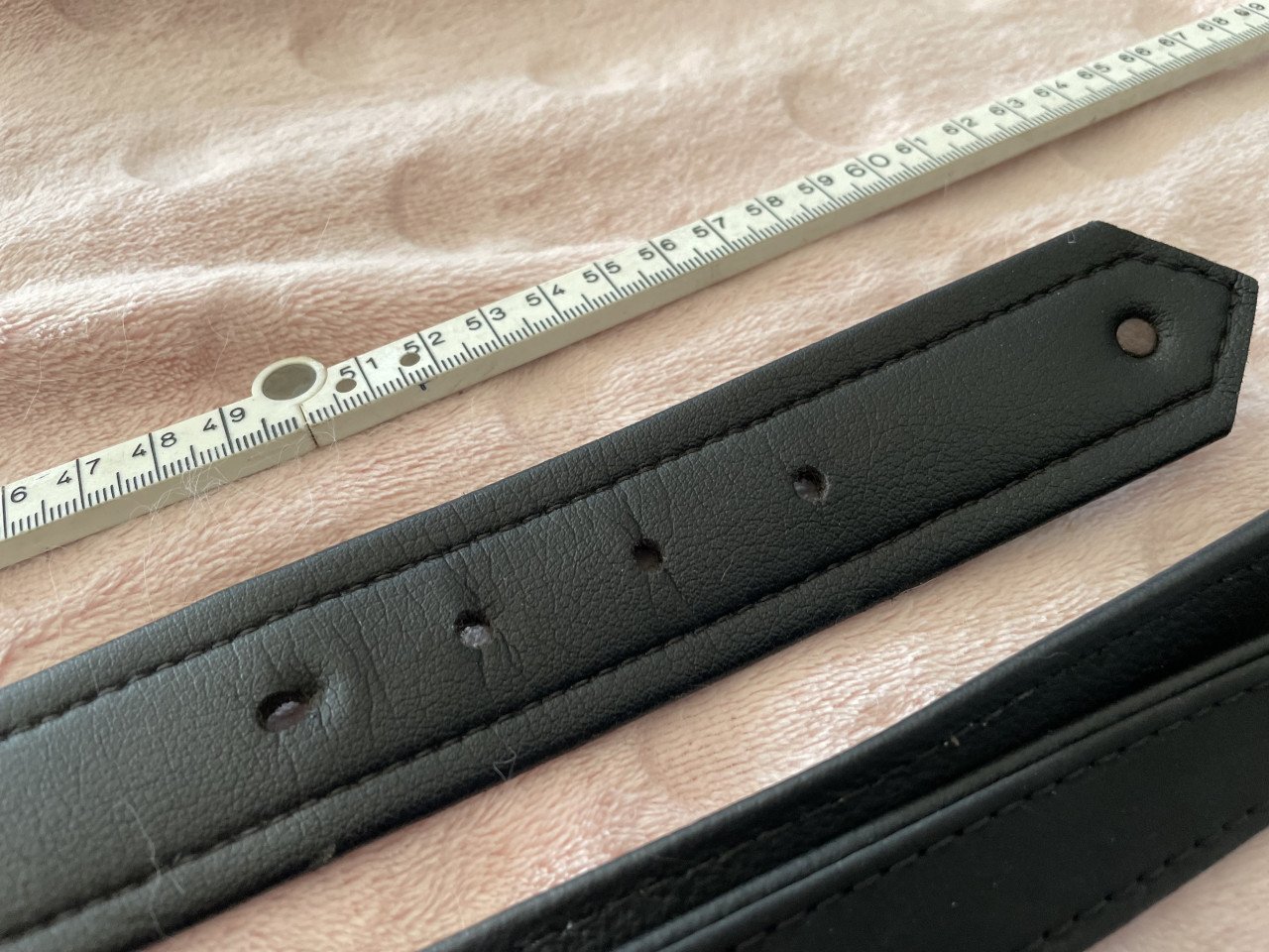 Nagenoeg NIEUWE HUNTER Halsband en Verstelbare Lijn IZGS!!