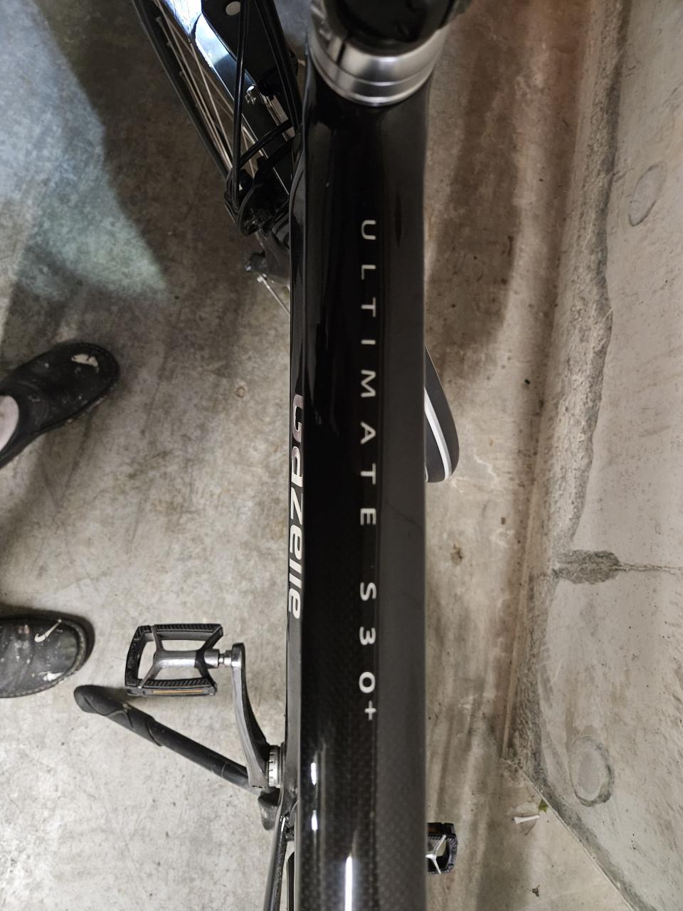 Sportfiets Gazelle Ultimate S30 +