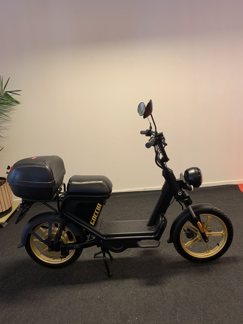 AGM GOCCIA GOLD EDITION NU 895,= RIJKLAAR