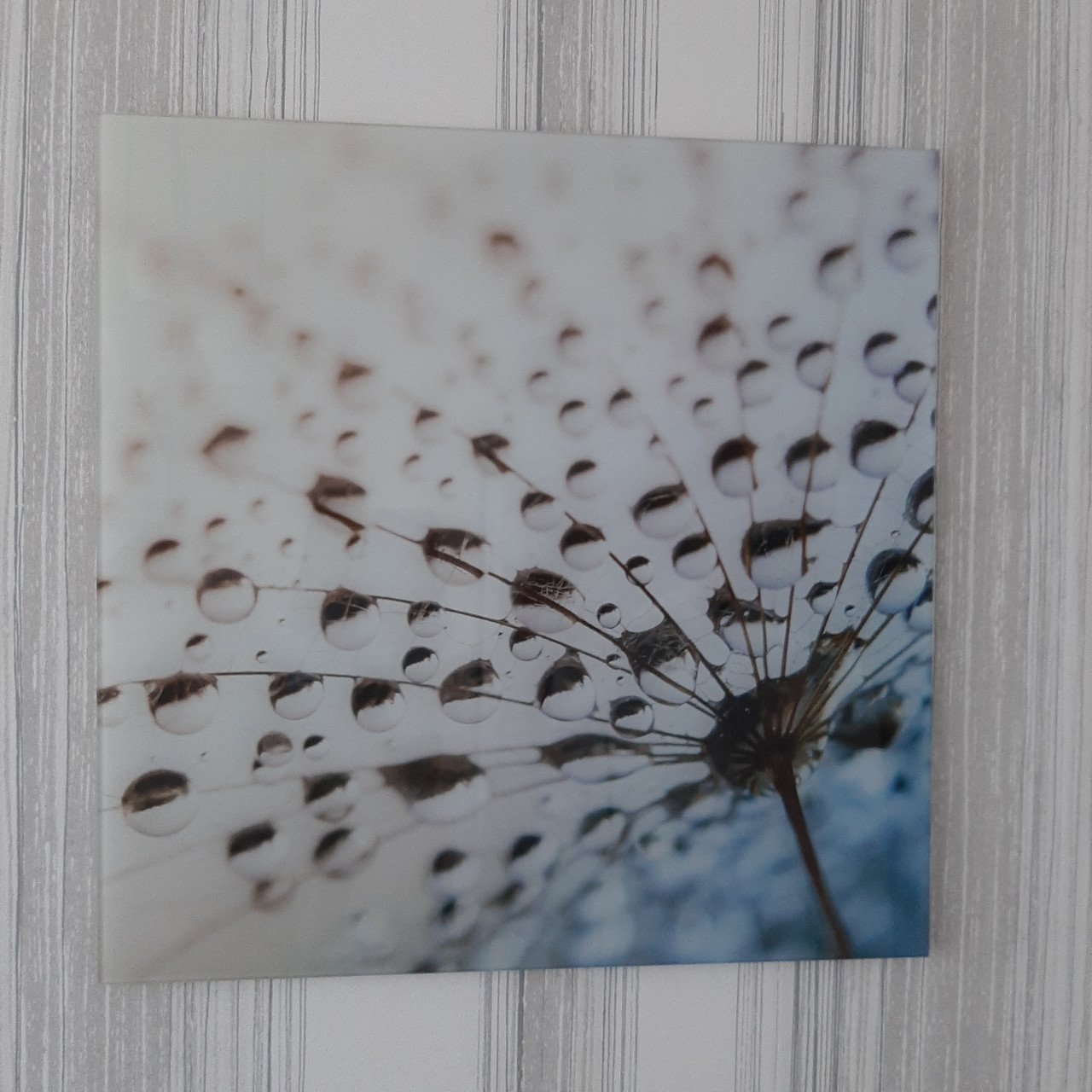 2 glasschilderij 50x50