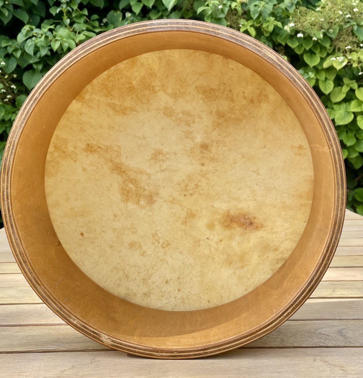 BODHRANS Brendan  White Irish drum