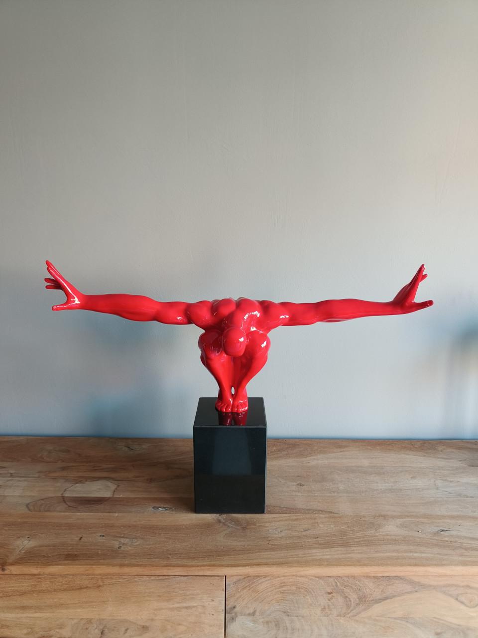 Beeld zwematleet / duiker