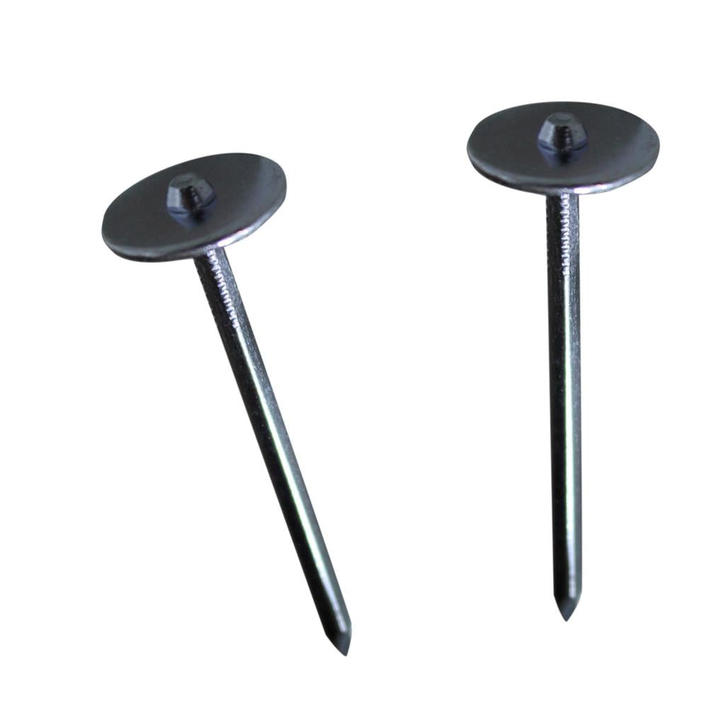 Rode loper voor feest