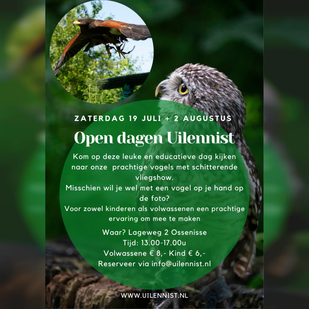 Roofvogels/uilen vliegshow 2 augustus open dag Ossenisse