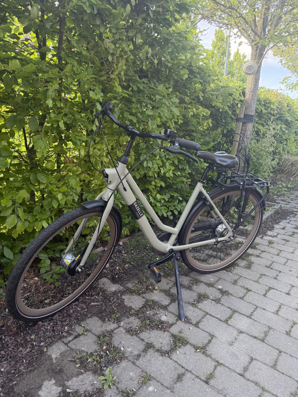 Gazelle Esprit 7 versnellingen, 49inch