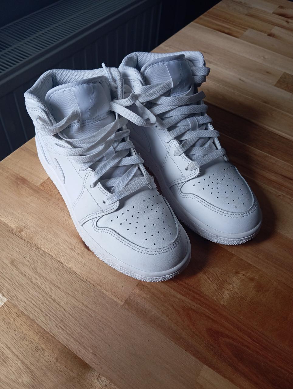 Nike air Jordan 37,5