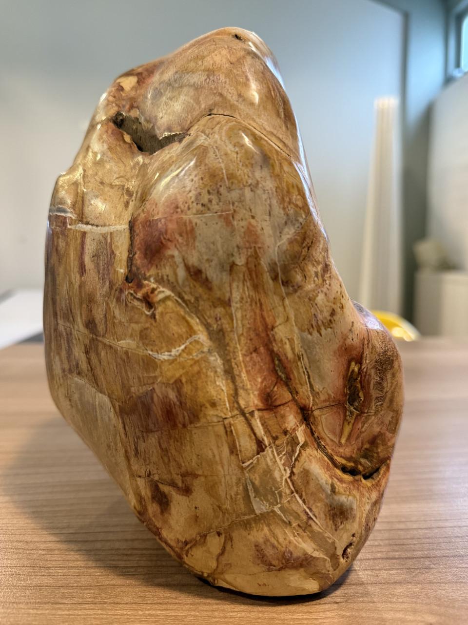 Mineralen: versteend hout