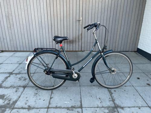 Danesfiets/ stationsfiets.