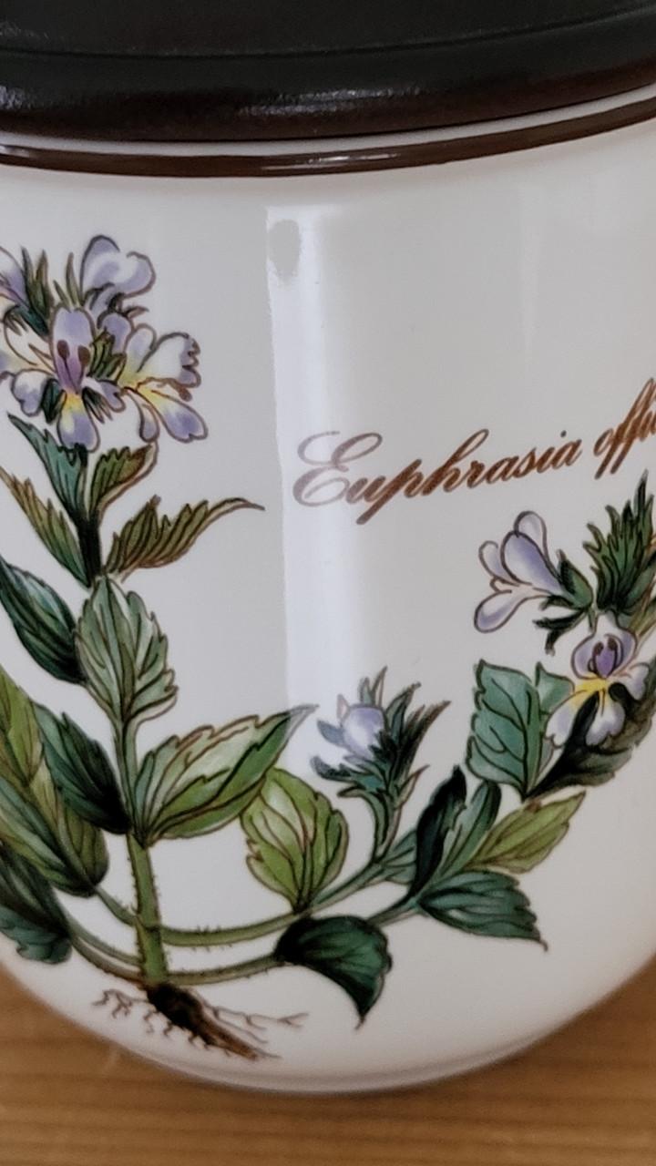 Vintage Villeroy & Boch Botanica voorraadpotje