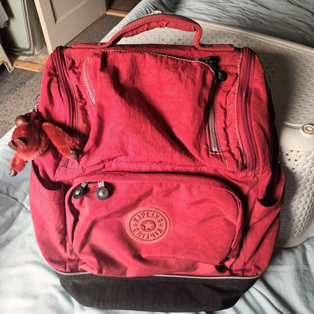 Rugtas kipling