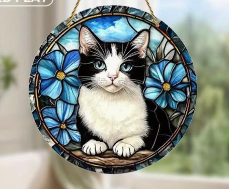 Raamhanger poes ( kleurrijk )